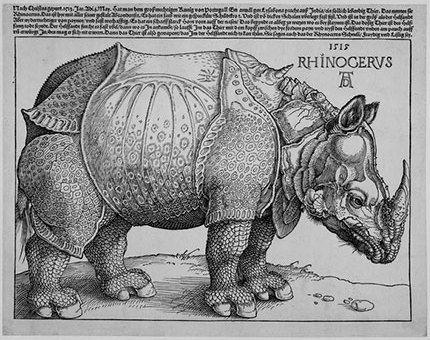 The Rhinoceros (1515), Albrecht Durer