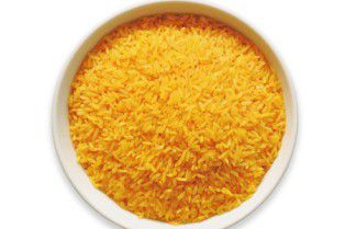 Golden Rice