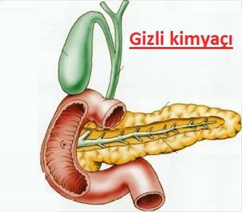 mədəaltı vəzi