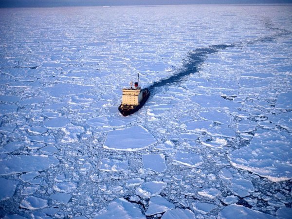 Uedella sea,Antarctida