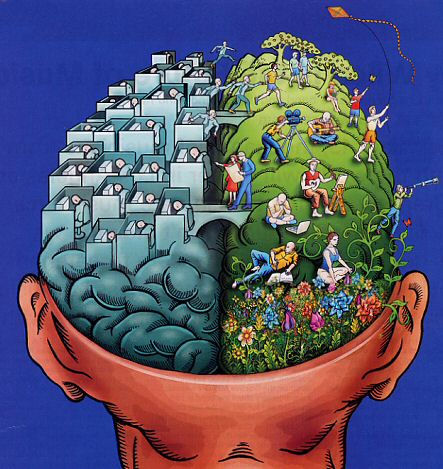 beyin yarımk&uuml;rələri,insan beyni,brain,beyin