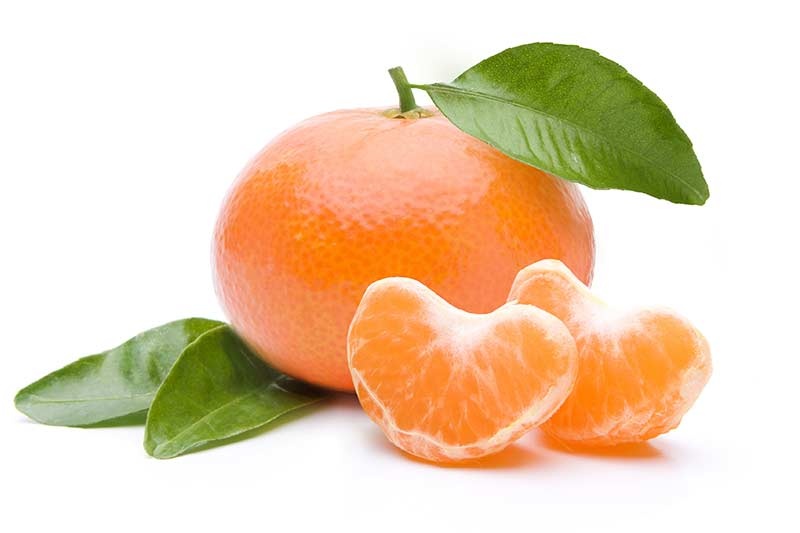 qurudulmuş mandarin