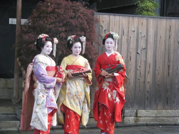 geyşalar (geisha,гейша)