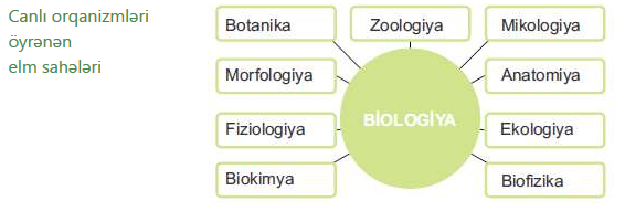 biologiya