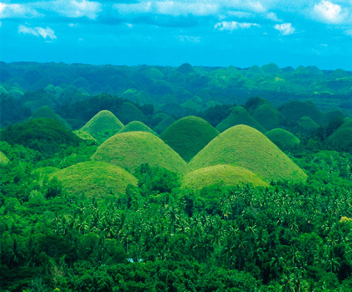 Filippin (phillipines) yaşıl meşələri