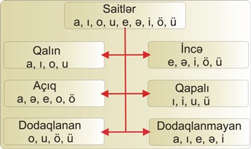 sait səslərin b&ouml;lg&uuml;s&uuml;