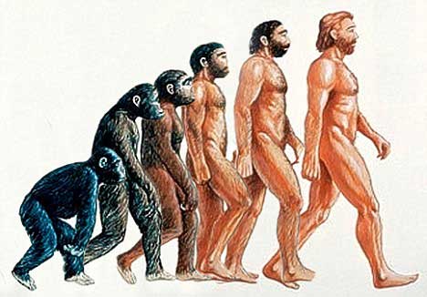 təkamül nəzəriyyəsi (evolution theory)