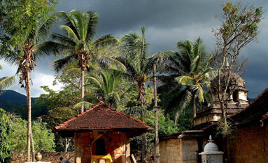 Şri Lanka tropik adasında