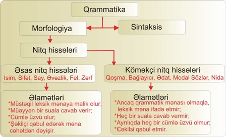 morfologiya-nitq hissələri haqqında elmdir