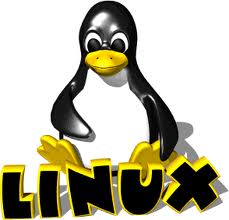 Linux əməliyyat sisteminin loqosu pinqvindir